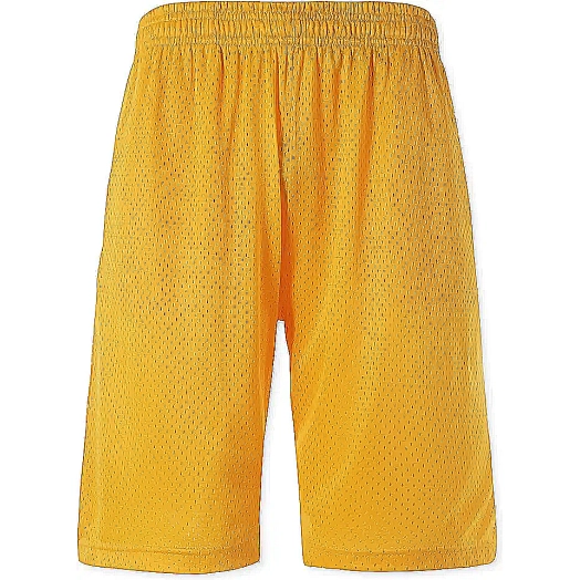 Mens Mesh Gym Shorts Suppliers Lithuania